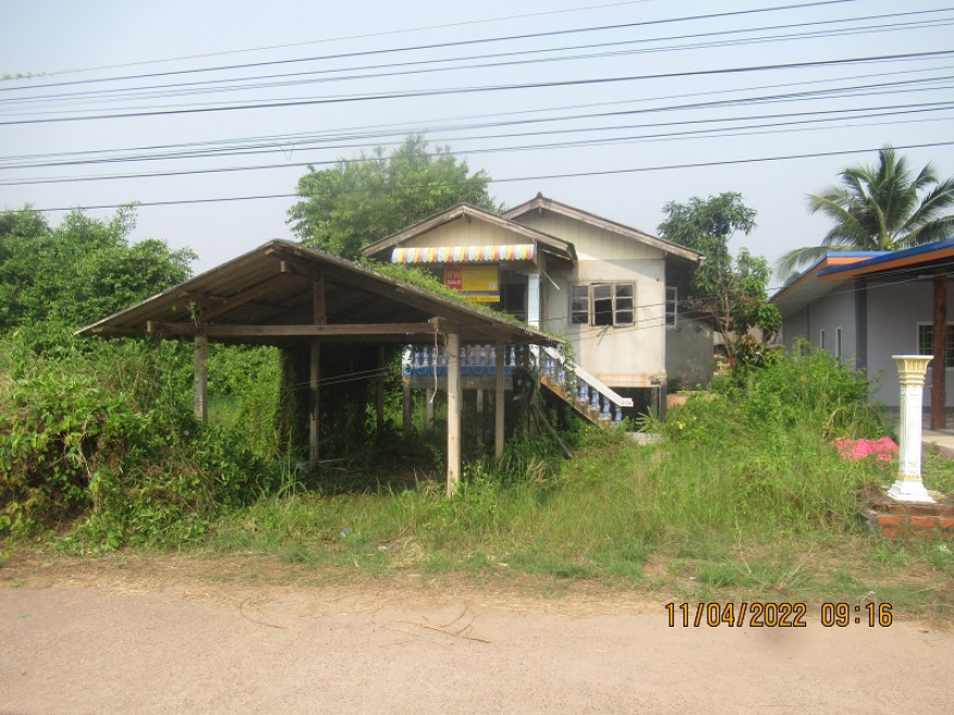 Single house Surat Thani Kanchanadit Tha Thong Mai 666000