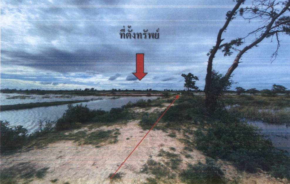 Residential land/lot Nakhon Ratchasima Non Thai Ban Wang 347880