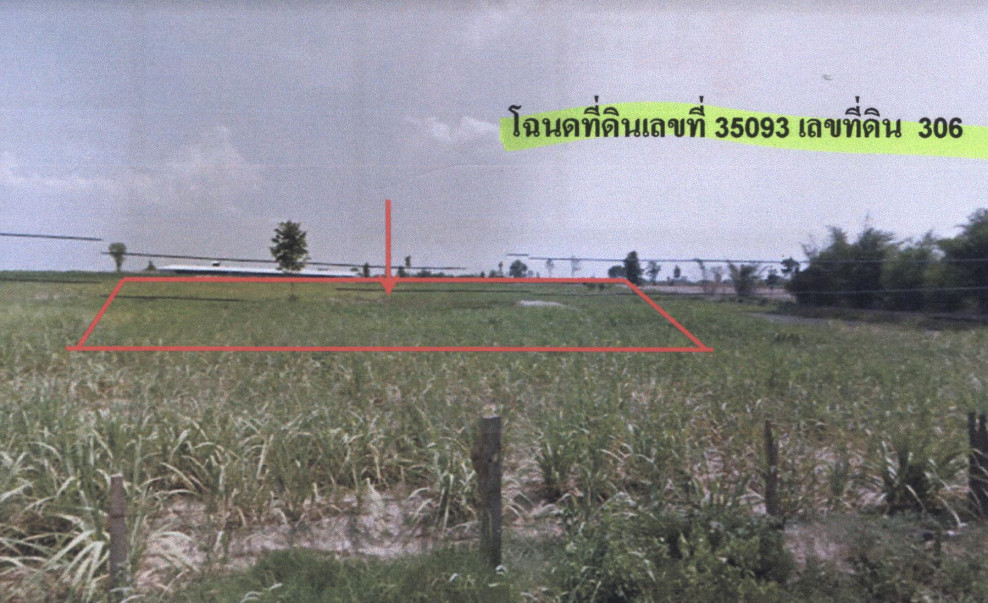 Residential land/lot Khon Kaen Kranuan Huai Chot 428100