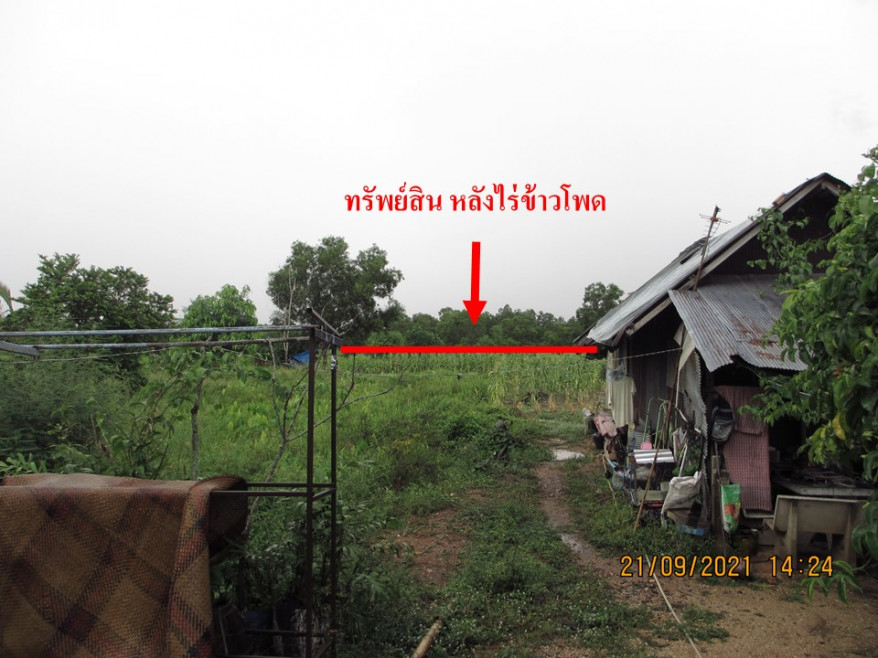 Residential land/lot Songkhla Mueang Songkhla Ko Taeo 0
