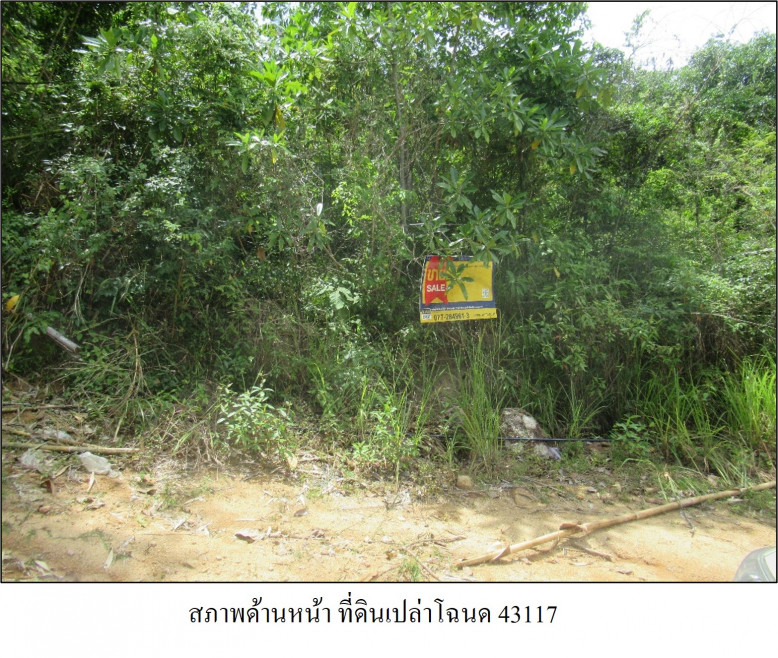 Residential land/lot Surat Thani Ko Samui Ang Thong 6720000