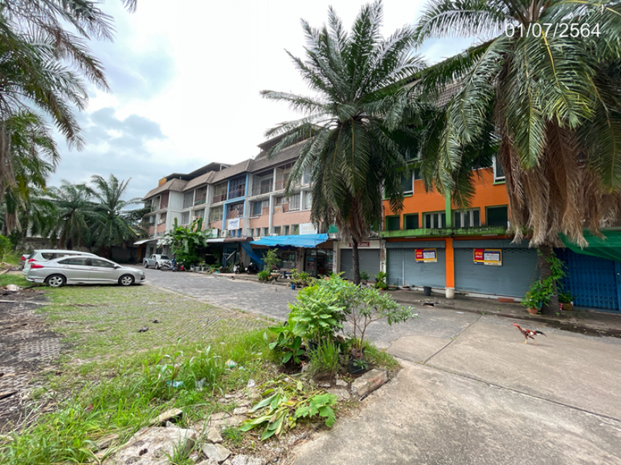อาคารพาณิชย์ สุราษฎร์ธานี เมืองสุราษฎร์ธานี ตลาด 3990000