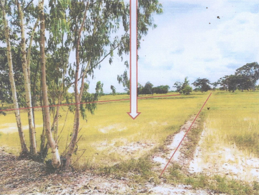 Residential land/lot Yasothon Maha Chana Chai Non Sai 205800