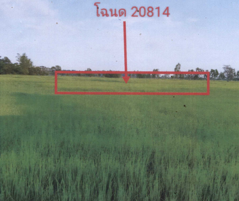 Residential land/lot Yasothon Kham Khuean Kaeo Thung Mon 268940