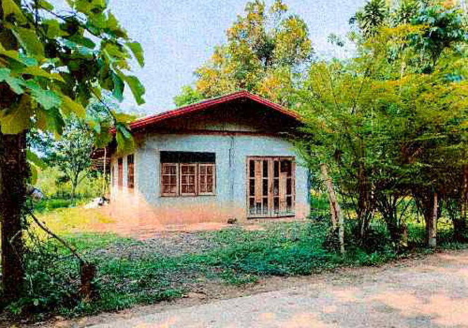 Single house Buogkan Seka Tha Sa-at 465818