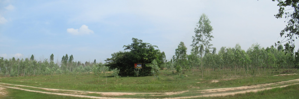 ที่ดินเปล่า เพชรบุรี ท่ายาง วังไคร้ 1233000