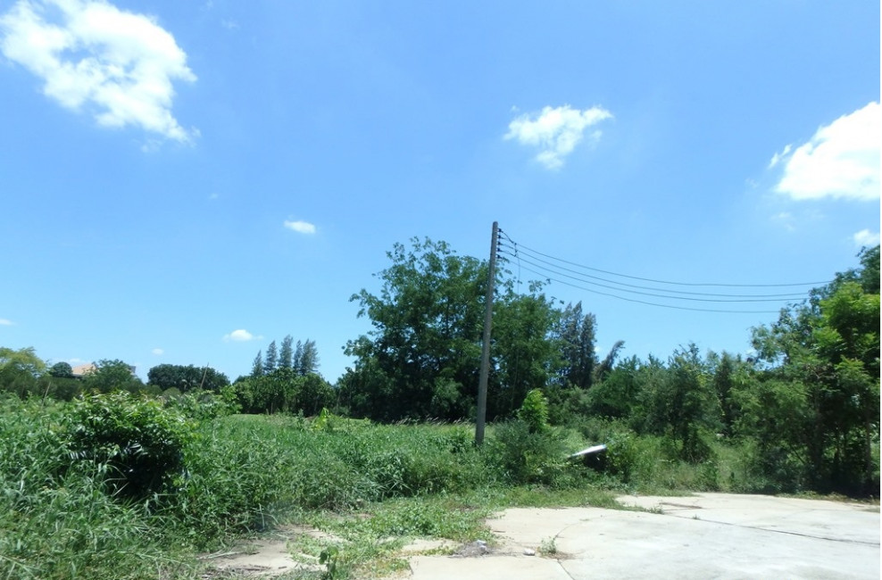 ที่ดินเปล่า นครปฐม นครชัยศรี บางกระเบา 10646000
