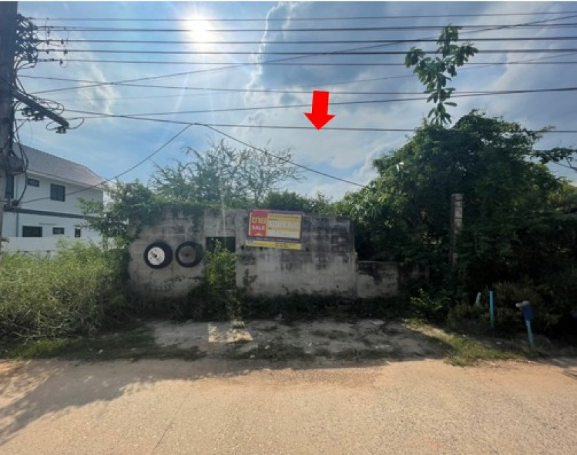 ที่ดินเปล่า - พิษณุโลก เมืองพิษณุโลก อรัญญิก 724000