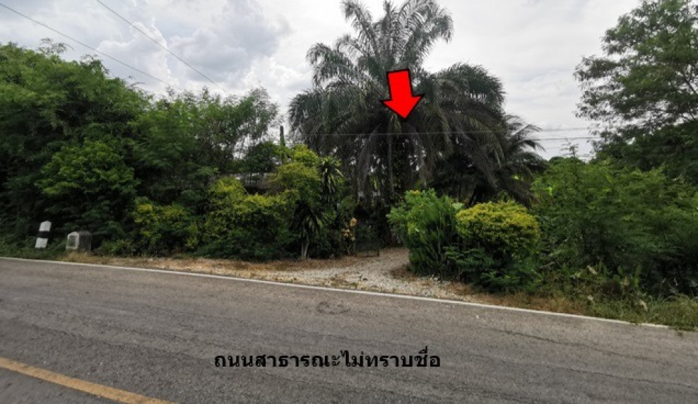 Residential land/lot Chiang Mai San Pa Tong Mae Ka 2502000