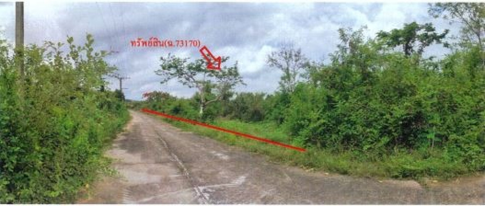 Residential land/lot Lamphun Mueang Lamphun Nong Nam 1640000