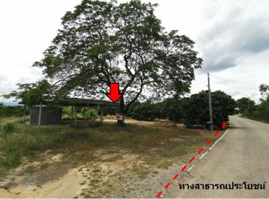 Residential land/lot Chiang Mai Chom Thong Khuang Pao 17863000