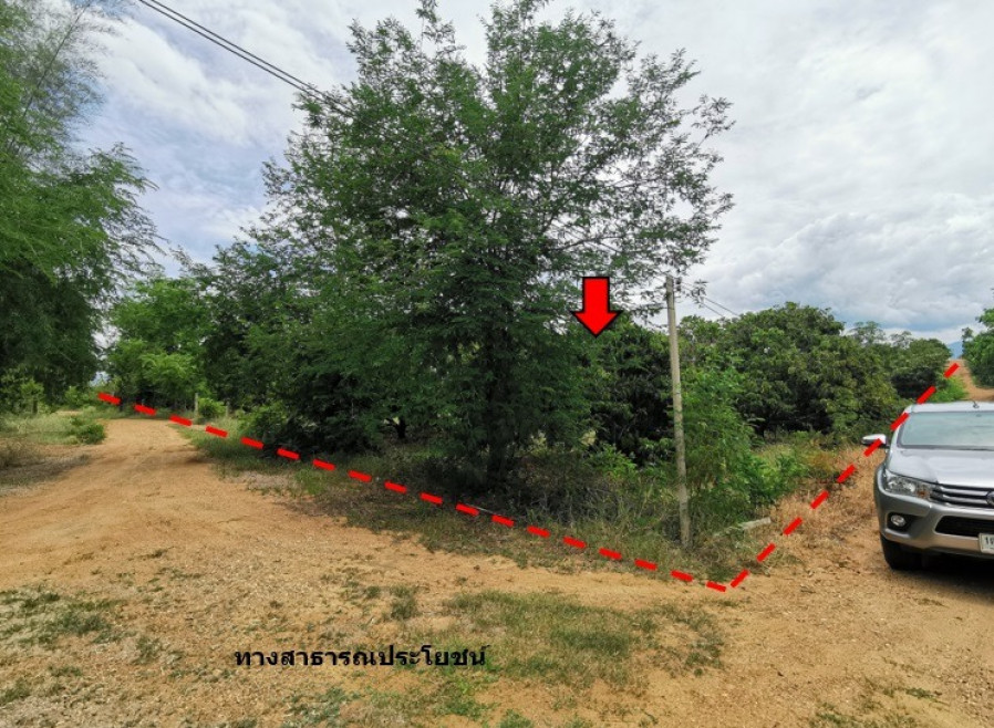 Residential land/lot Chiang Mai Chom Thong Khuang Pao 8795000