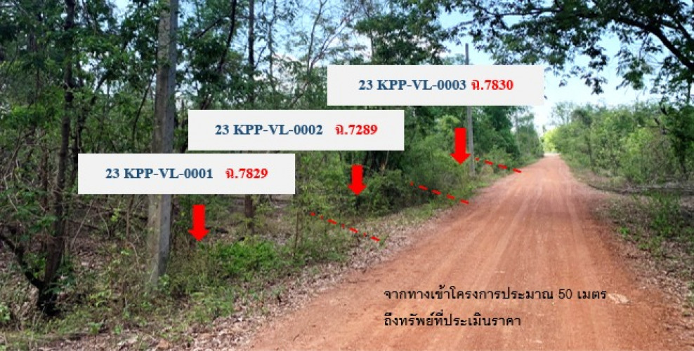 Residential land/lot Kamphaeng Phet Phran Kratai Khui Ban Ong 133000