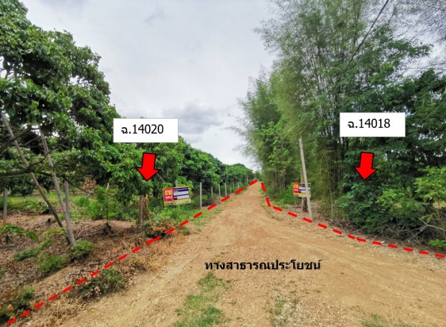 Residential land/lot Chiang Mai Chom Thong Khuang Pao 7249000