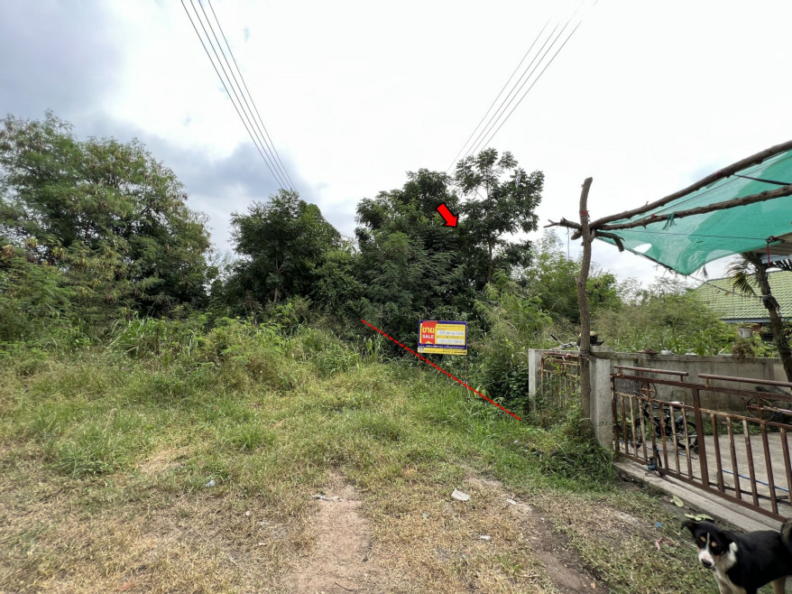 Residential land/lot Chai Nat Wat Sing Nong Bua 158000