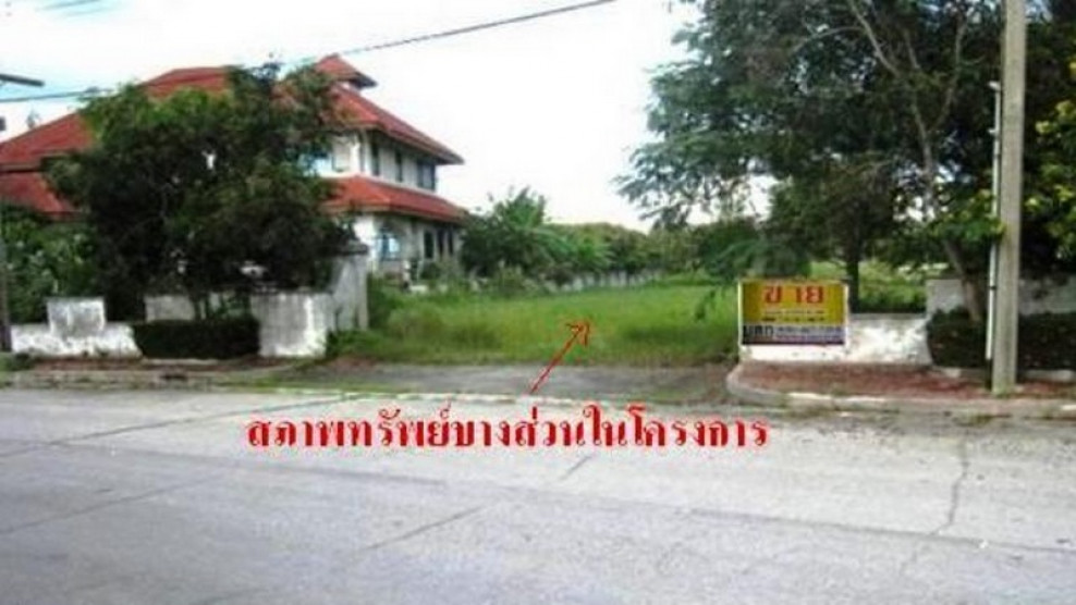Residential land/lot Chachoengsao Bang Pakong Tha Kham 8298000