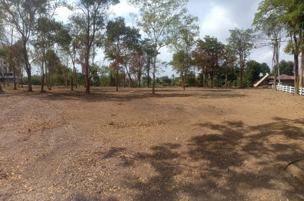 Residential land/lot Buri Ram Nang Rong Nang Rong 23221000