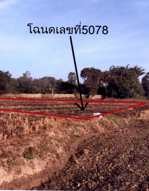 Residential land/lot Nan Na Noi Na Noi 1030000