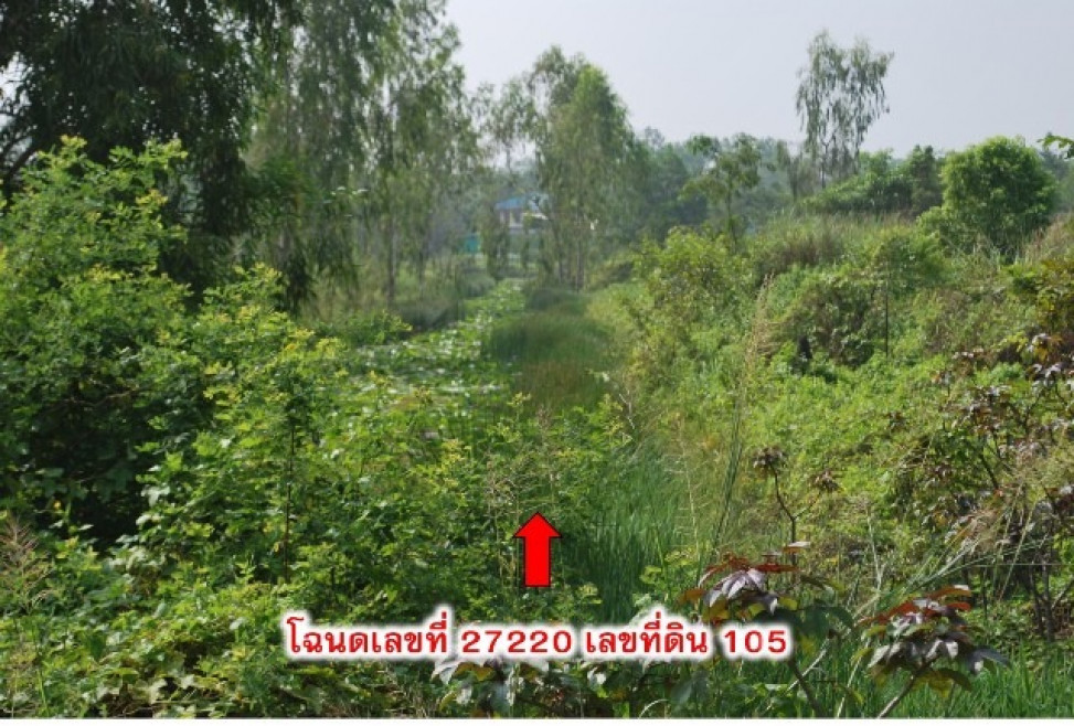 Residential land/lot Phra Nakhon Si Ayutthaya Bang Sai Khae Tok 3498000
