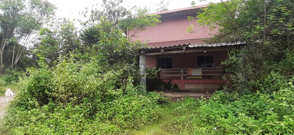 Single house Chiang Rai Mueang Chiang Rai Huai Sak 5066000