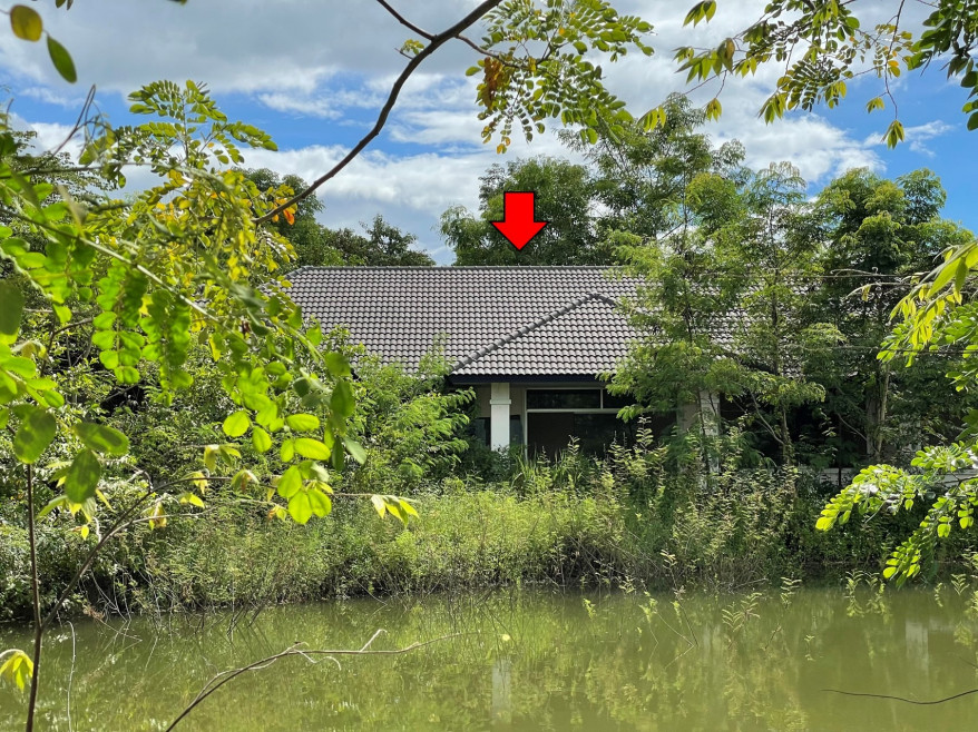 บ้านเดี่ยว เชียงใหม่ ดอยสะเก็ด แม่คือ 4239000