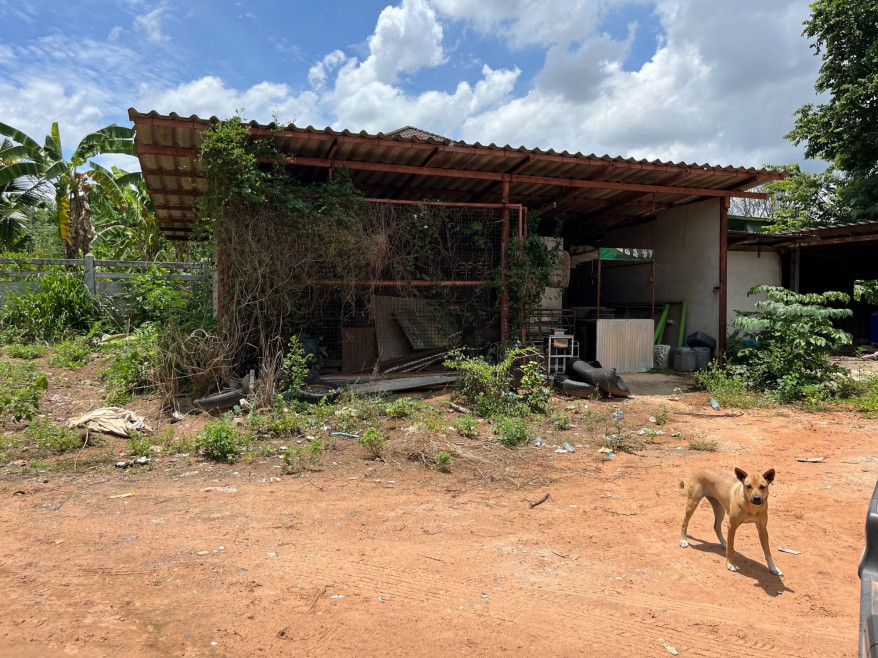 บ้านเดี่ยว นครราชสีมา ด่านขุนทด ด่านขุนทด 2430000