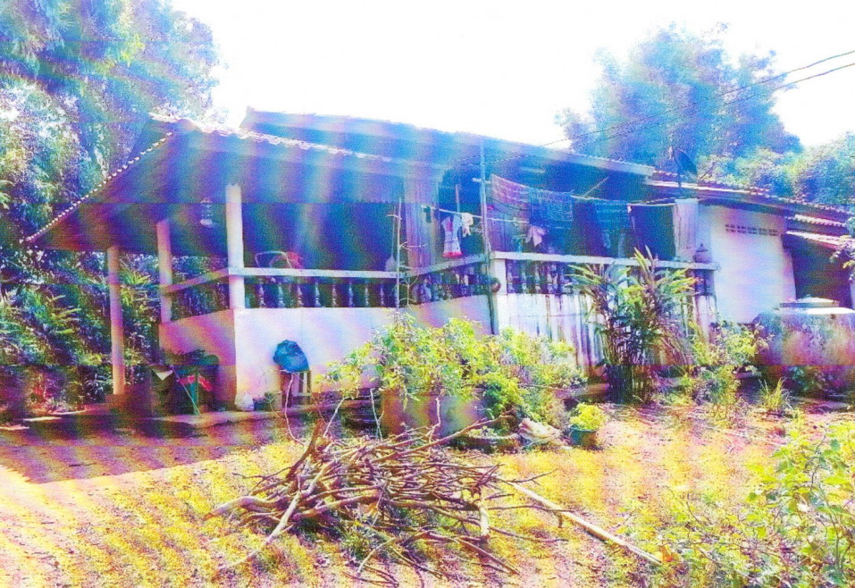 Single house Chiang Rai Doi Luang Nong Pa Ko 1034878