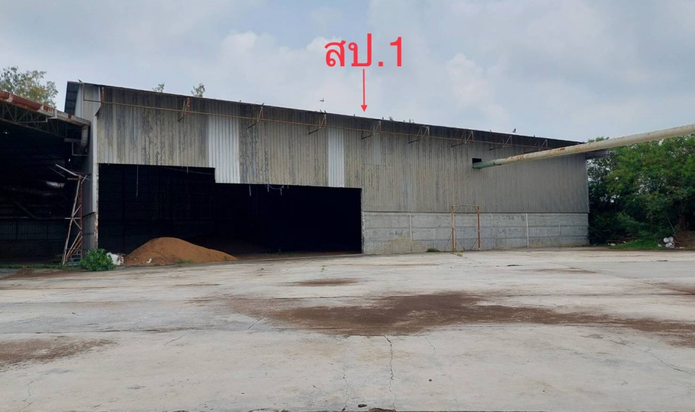 Plant/Storage Suphan Buri Doem Bang Nang Buat Hua Khao 12401000