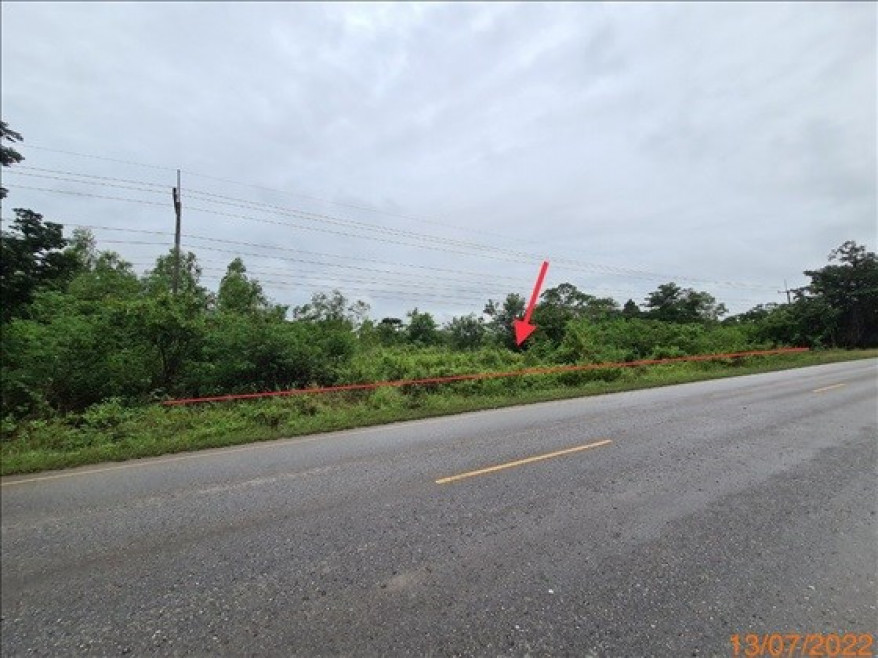 Residential land/lot Chaiyaphum Mueang Chaiyaphum Khok Sung 8885000