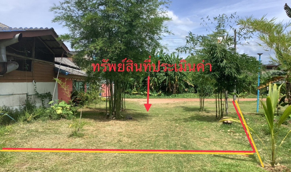 Residential land/lot Trang Yan Ta Khao Yan Ta Khao 1780000
