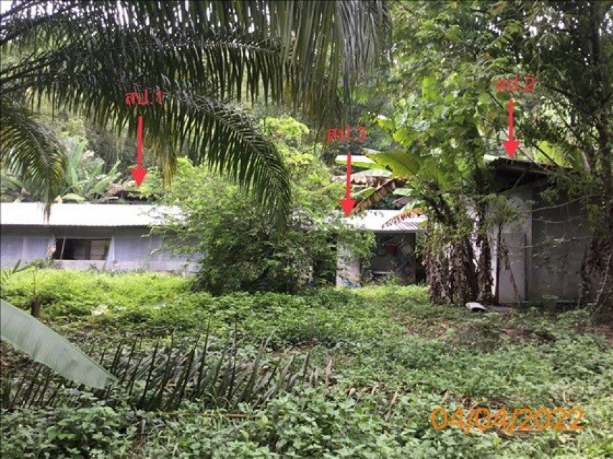 Single house Phangnga Takua Thung Krasom 5556000