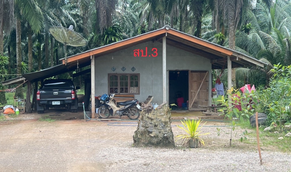 Single house Surat Thani Phrasaeng Sai Sopha 4882000