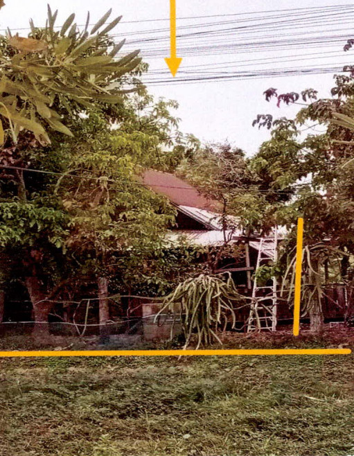Single house Si Sa Ket Khukhan Nong Chalong 274161