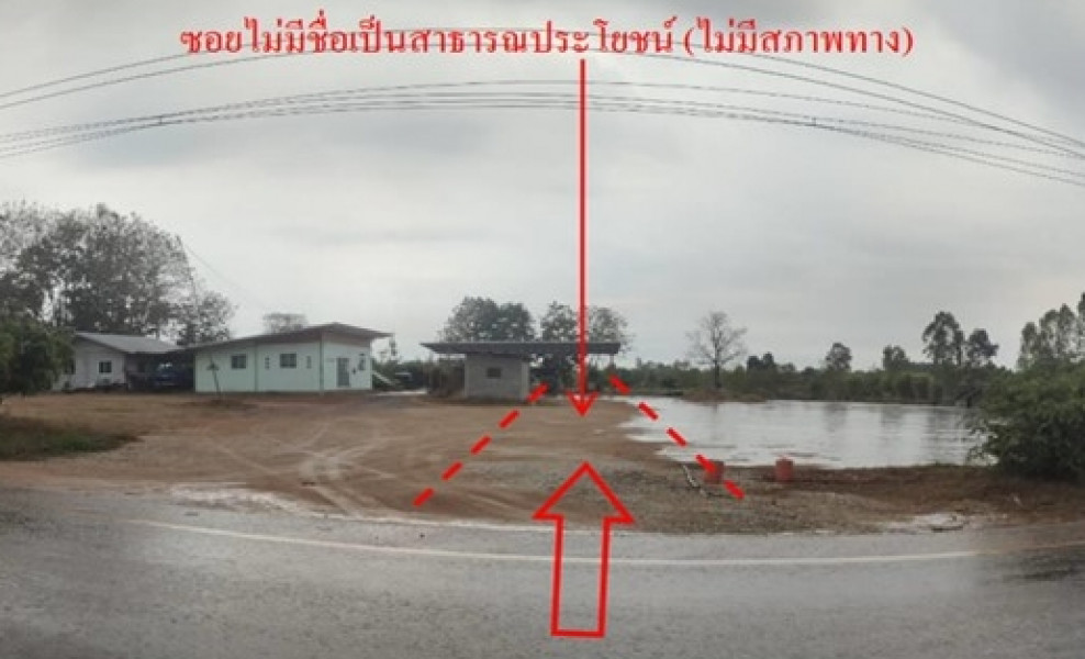ที่ดินเปล่า กาฬสินธุ์ หนองกุงศรี หนองบัว 659000