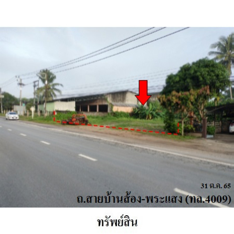 ที่ดินเปล่า สุราษฎร์ธานี เวียงสระ ทุ่งหลวง 1802500