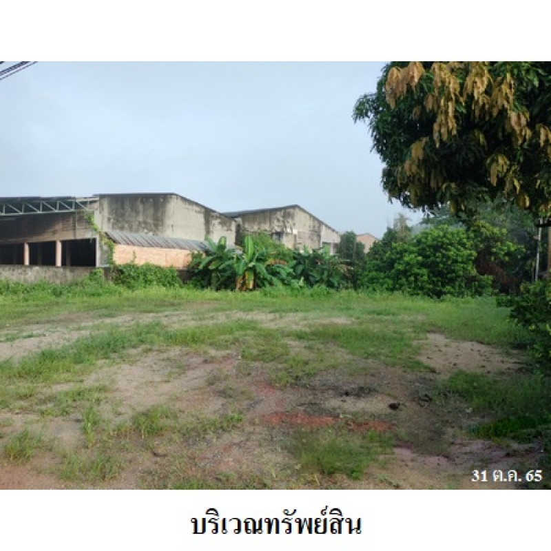 ที่ดินเปล่า สุราษฎร์ธานี เวียงสระ ทุ่งหลวง 1802500