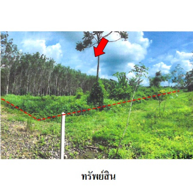 ที่ดินเปล่า นครศรีธรรมราช ทุ่งสง ควนกรด 2259800