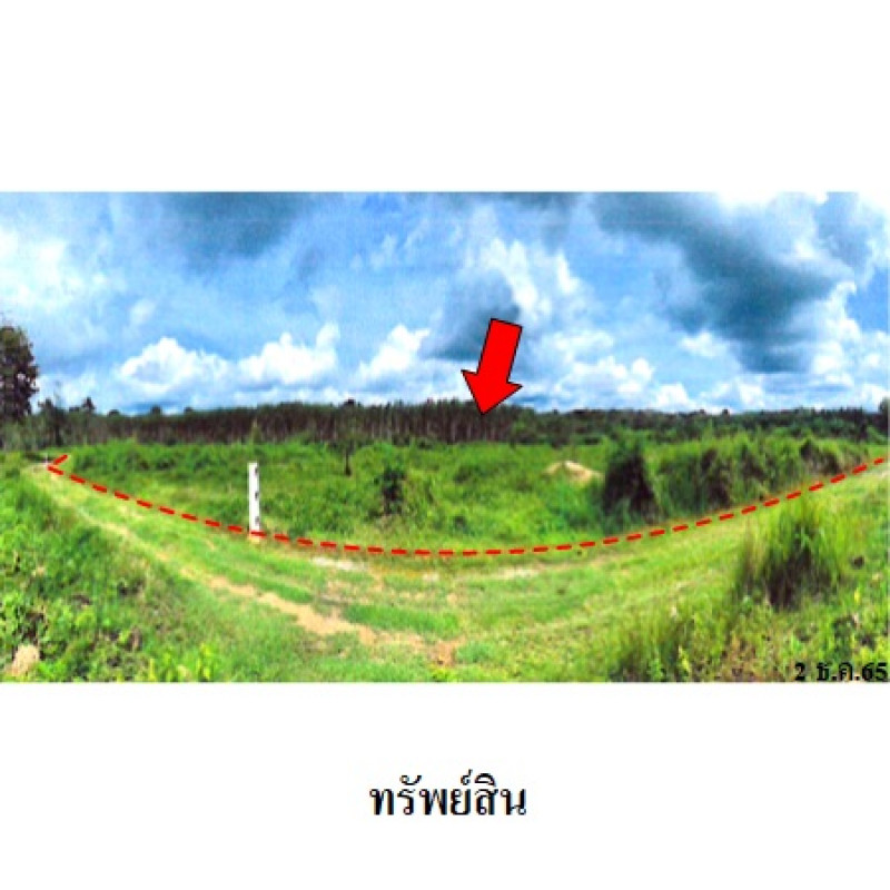 ที่ดินเปล่า นครศรีธรรมราช ทุ่งสง ควนกรด 2259800