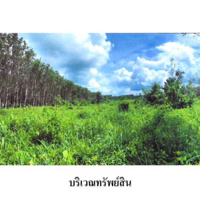 ที่ดินเปล่า นครศรีธรรมราช ทุ่งสง ควนกรด 2259800