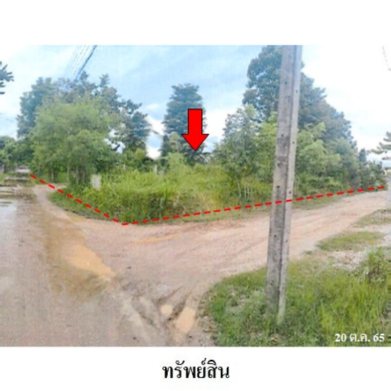 บ้านเดี่ยว เลย เมืองเลย นาอาน 7410000