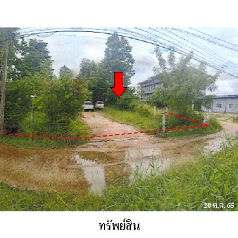 บ้านเดี่ยว เลย เมืองเลย นาอาน 7410000