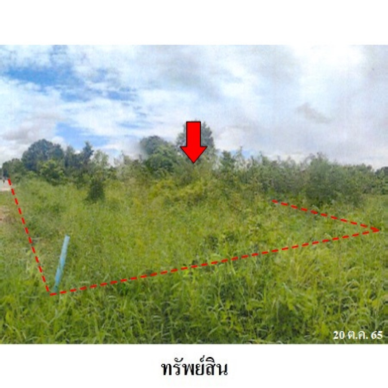 บ้านเดี่ยว เลย เมืองเลย นาอาน 7410000