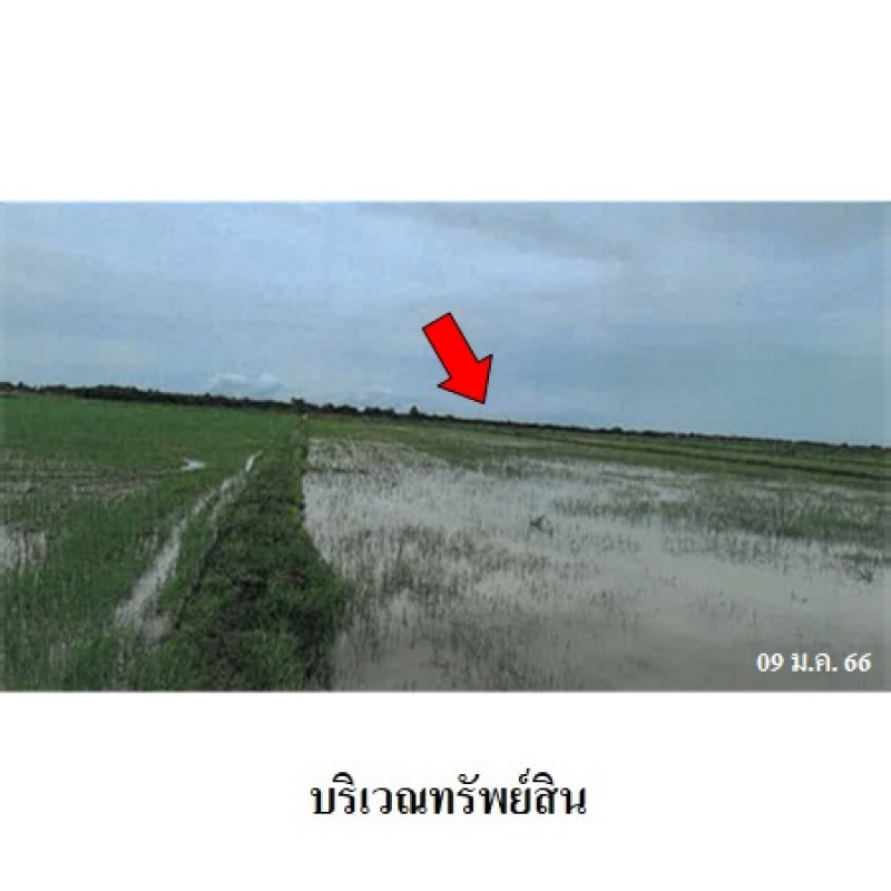 ที่ดินเปล่า เพชรบุรี ท่ายาง ปึกเตียน 841000
