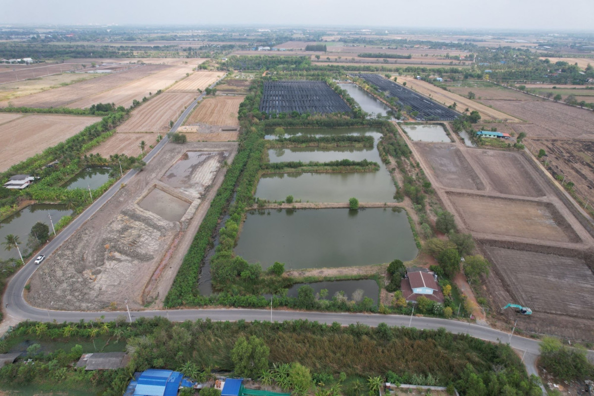 ที่ดินเปล่า ฉะเชิงเทรา เมืองฉะเชิงเทรา ท่าไข่ 72000000