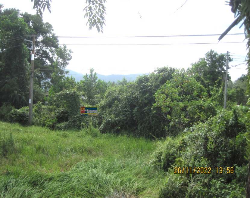 Residential land/lot Narathiwat Bacho Paluka Samo 1036000