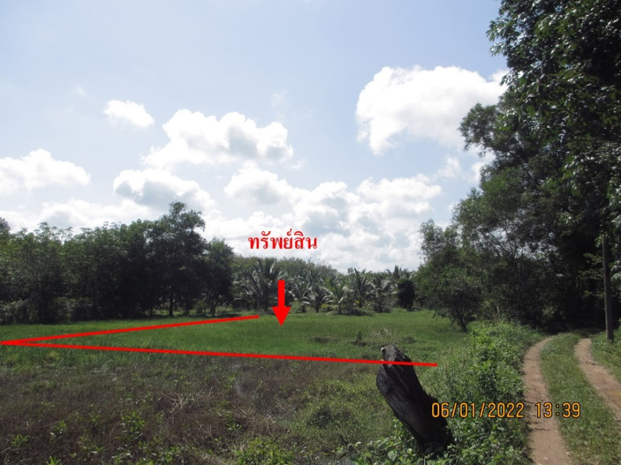 Residential land/lot Songkhla Mueang Songkhla Ko Taeo 1147000