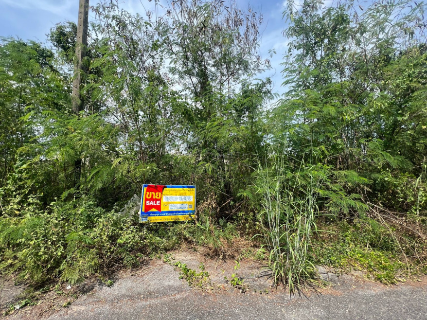 Residential land/lot Pathum Thani Nong Suea Bueng Ba 284000