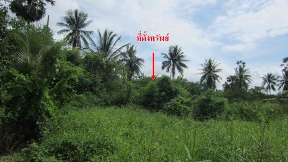 Residential land/lot Nakhon Pathom Nakhon Chai Si Bang Kaeo 5585000