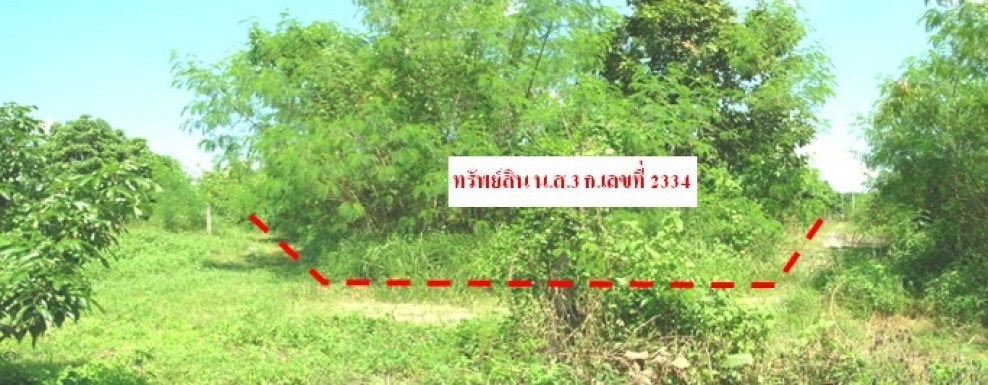 Residential land/lot Lamphun Pa Sang Nam Dip 5129000