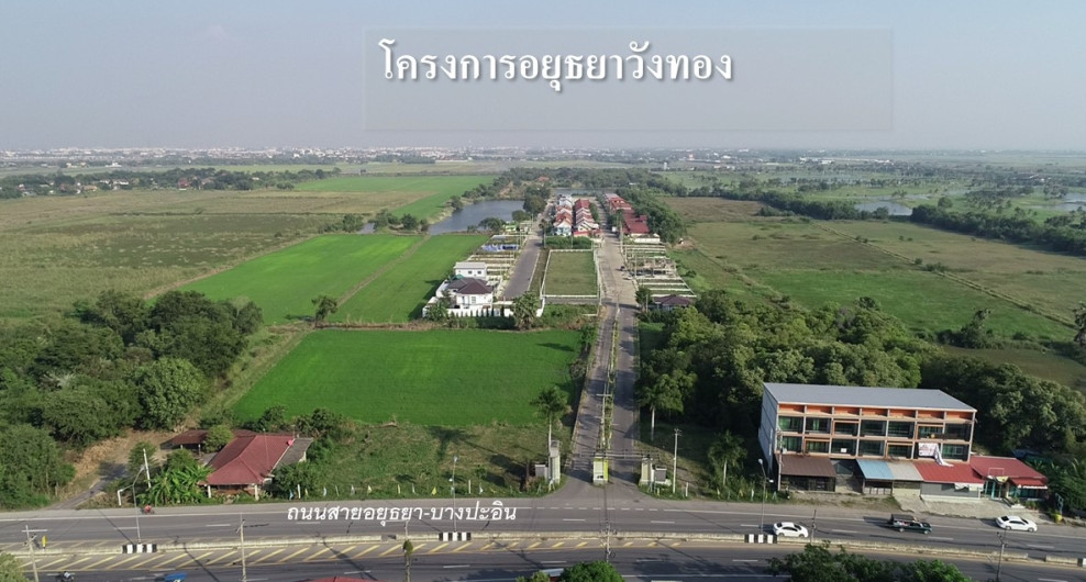 ที่ดินเปล่า อยุธยาวังทอง พระนครศรีอยุธยา พระนครศรีอยุธยา เกาะเรียน 462000